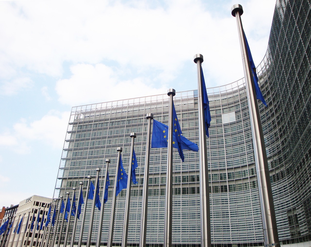 EU Western Balkans Strategy: On Named and Unnamed Elephants in the Room