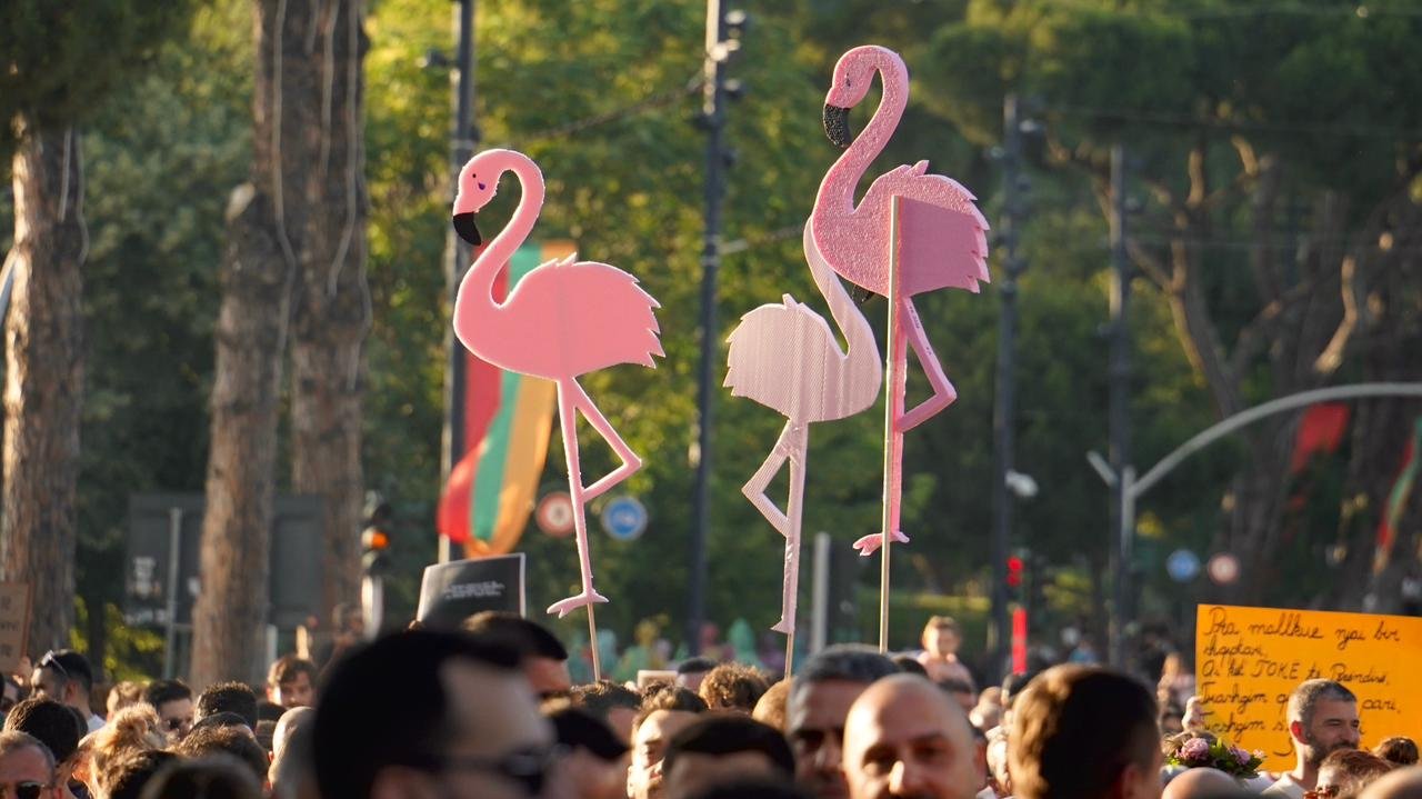 The Flamingo Revolution — How Albania’s Civic Protest Exposes Lack of Transparency and Media Capture